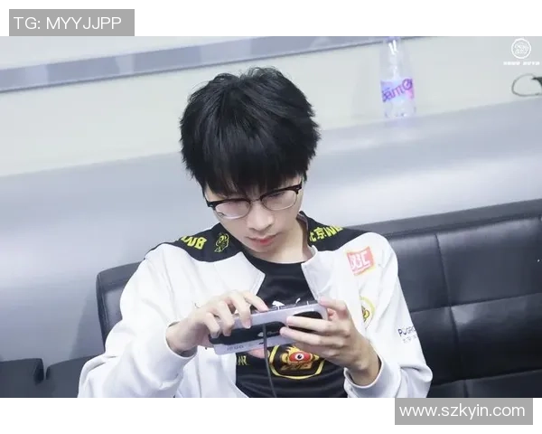 王者荣耀专题深度解析WE战队的比赛经验与策略分享